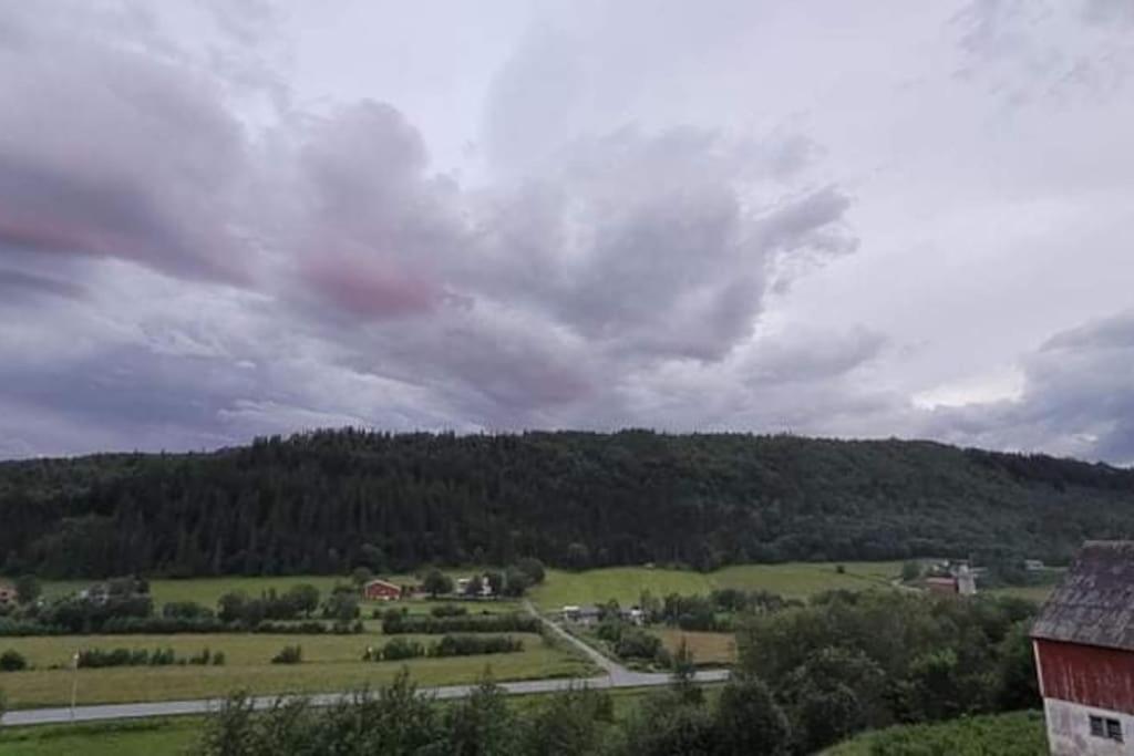 شقة Skogan Leirfjord المظهر الخارجي الصورة