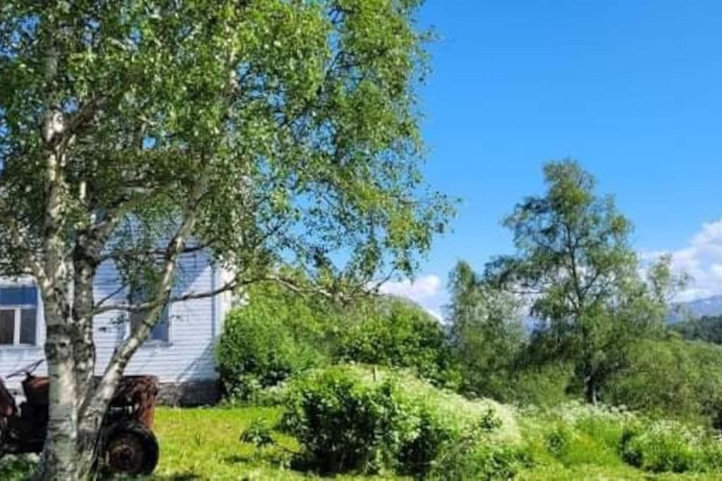 شقة Skogan Leirfjord المظهر الخارجي الصورة