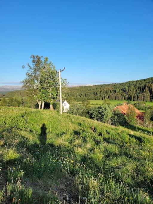 شقة Skogan Leirfjord المظهر الخارجي الصورة