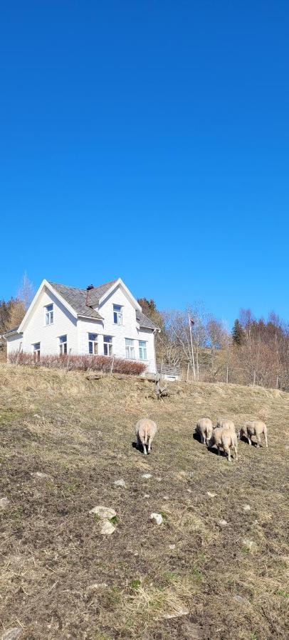 شقة Skogan Leirfjord المظهر الخارجي الصورة